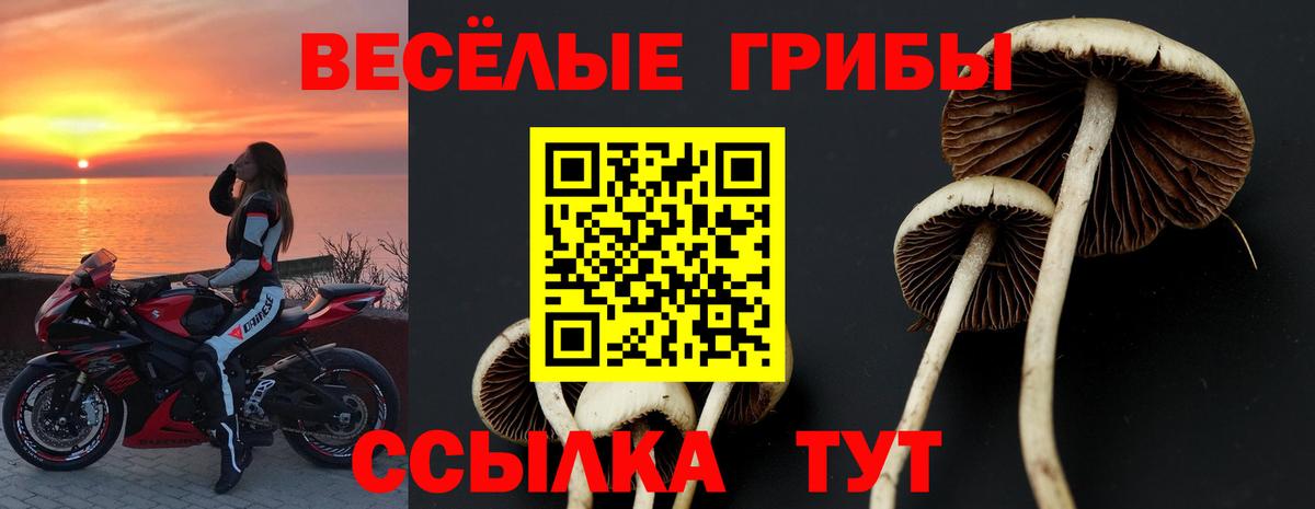 Алапаевск  Псилоцибиновые грибы ЛСД  Вход с VPN 